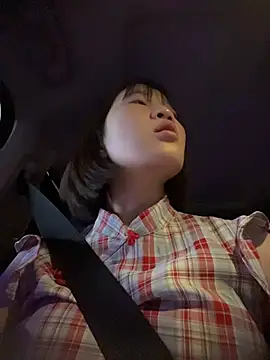 littleqiu webcam
