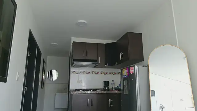 grey___27 webcam