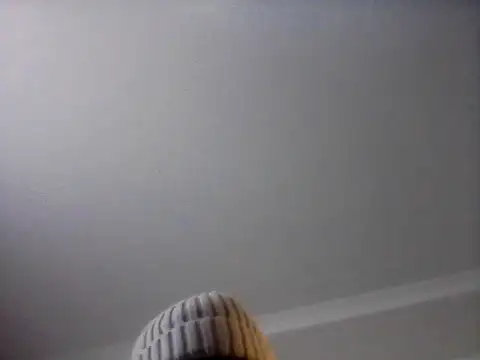 bogbosdick webcam