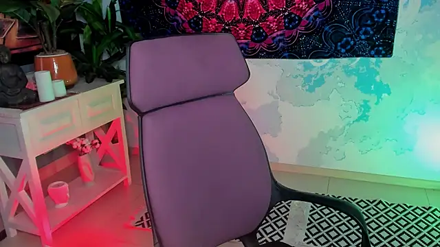 LidaDarknet webcam