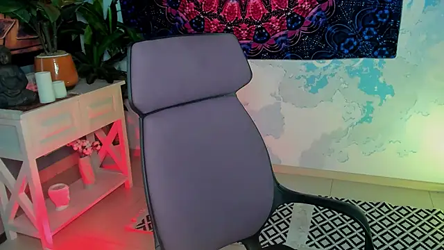LidaDarknet webcam