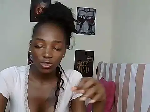 Eira01 webcam