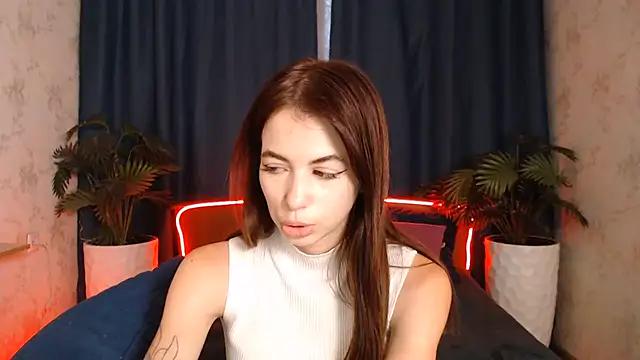 MiniModel webcam