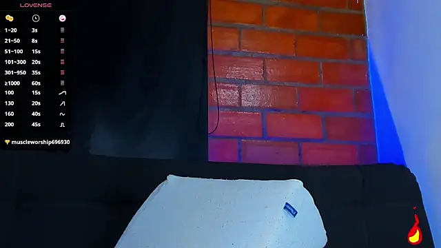 vanegas_luis webcam
