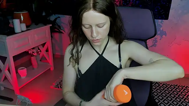 LidaDarknet webcam