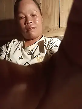 Ip34 webcam