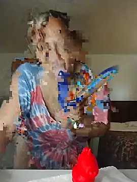 THEBEDroomdoOR webcam