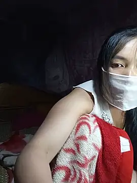 Hiha-nn webcam
