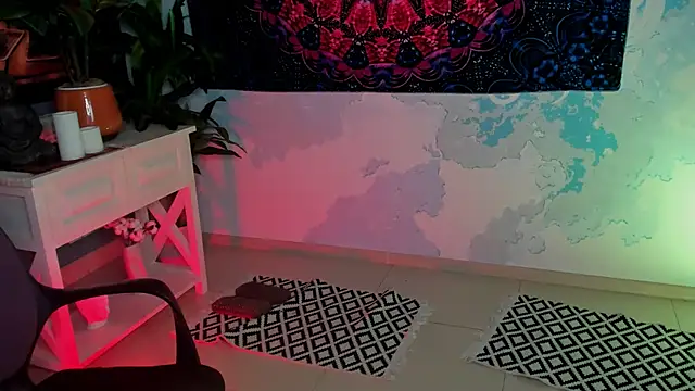 LidaDarknet webcam