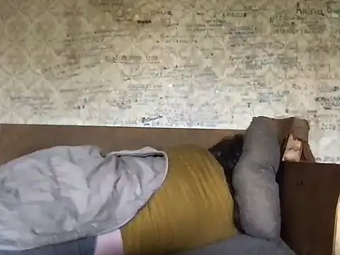 -TrafoX3- webcam