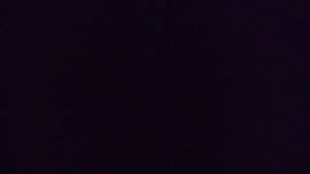 nicolesbiggy webcam