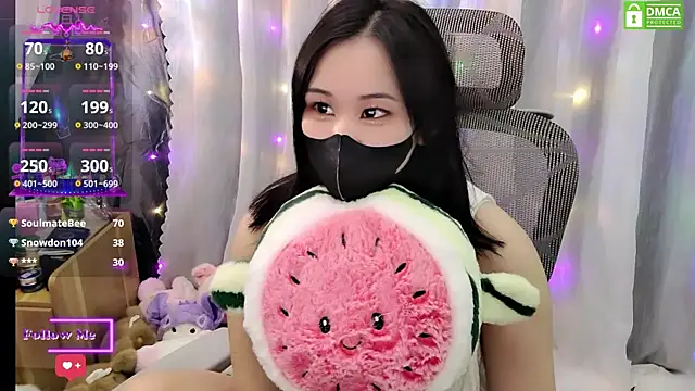 Dully_ana webcam