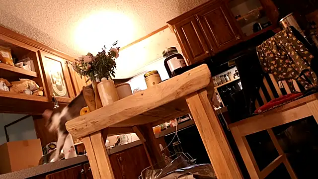 xxpixeyxx webcam