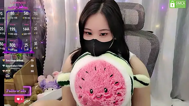 Dully_ana webcam