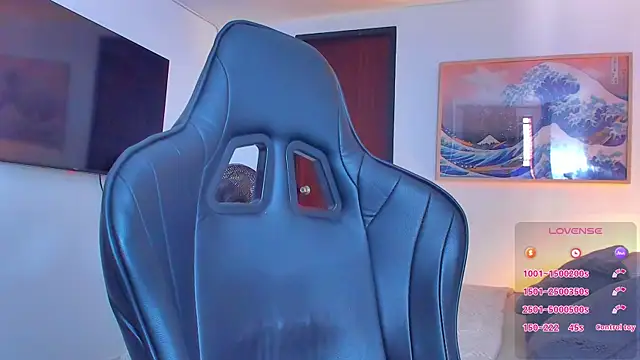 RJBarto webcam
