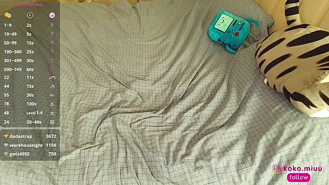 KokoMiu webcam