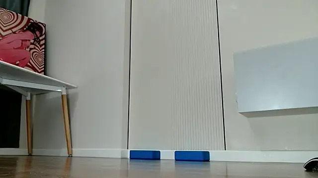 minji_snow webcam