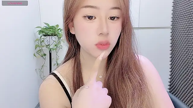 Baixi-01 webcam