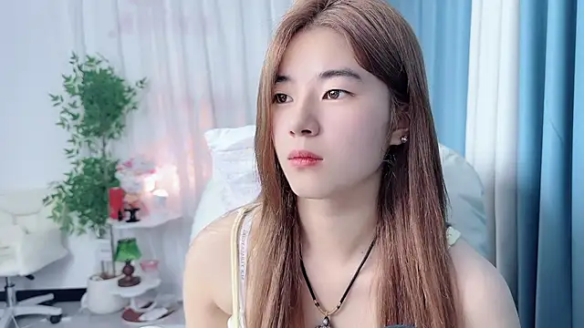 Nicoa2026 webcam