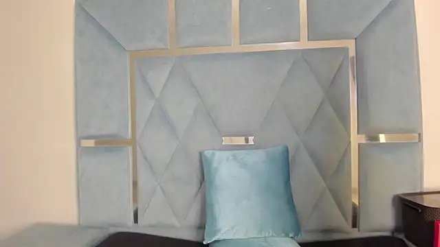 Lucy_asm webcam