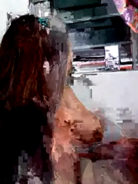 Janecassi webcam