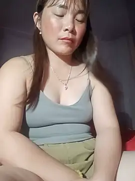 -Nibi- webcam