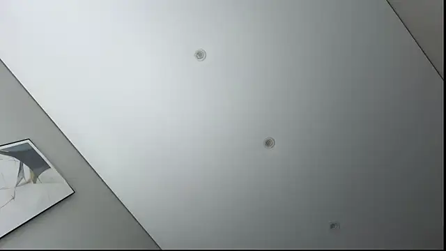 SoftMandolin webcam
