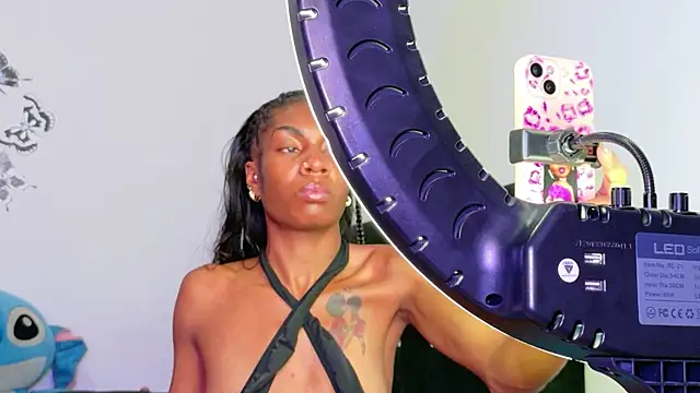 Blackrosse__ webcam