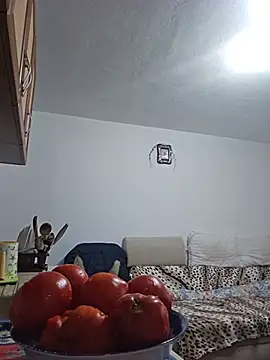 IsabelleCraft webcam