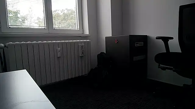 69bezfleku webcam