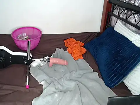 Whimsicalwillow webcam