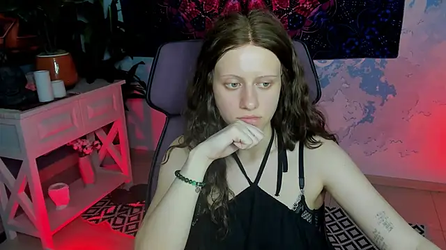 LidaDarknet webcam