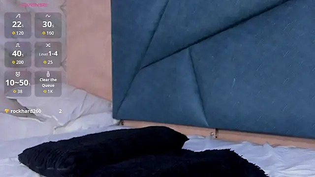 LaurentFerrer webcam