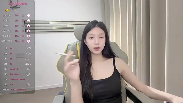 yy-1314 webcam