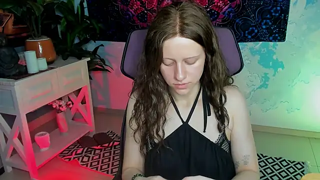 LidaDarknet webcam