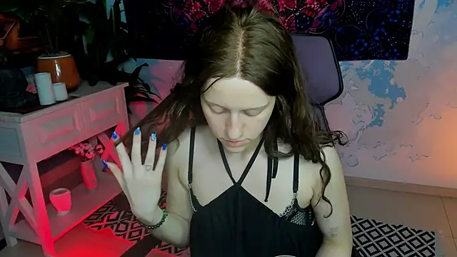 LidaDarknet webcam