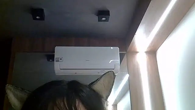 SkinnyKitten webcam