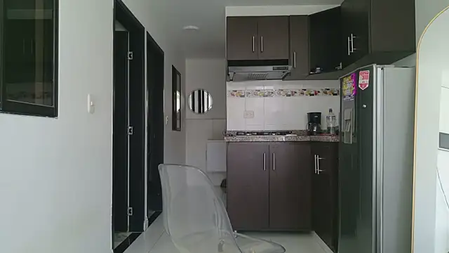 grey___27 webcam