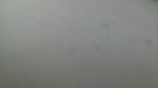 Bbw255 webcam