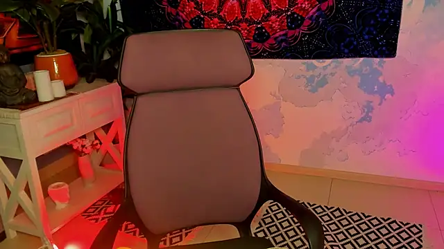 LidaDarknet webcam
