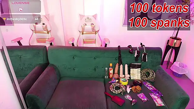 Raven_velmont webcam