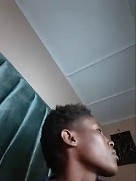slim_ebon webcam