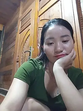 Td3di webcam