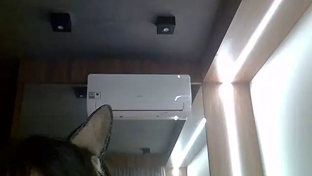 SkinnyKitten webcam