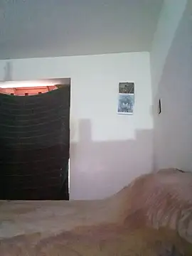 wa379 webcam