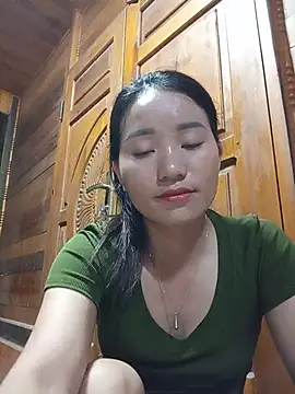 Td3di webcam