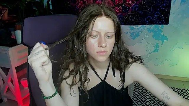 LidaDarknet webcam