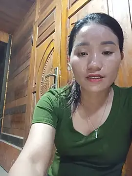 Td3di webcam