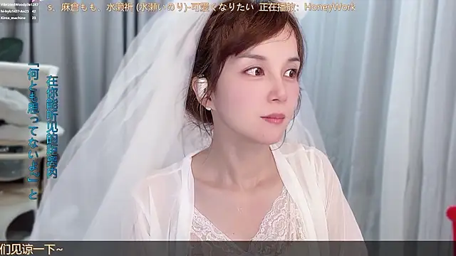 hi-AnAn webcam