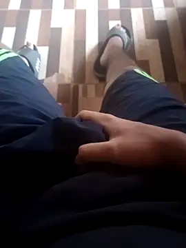 _NAUJ webcam